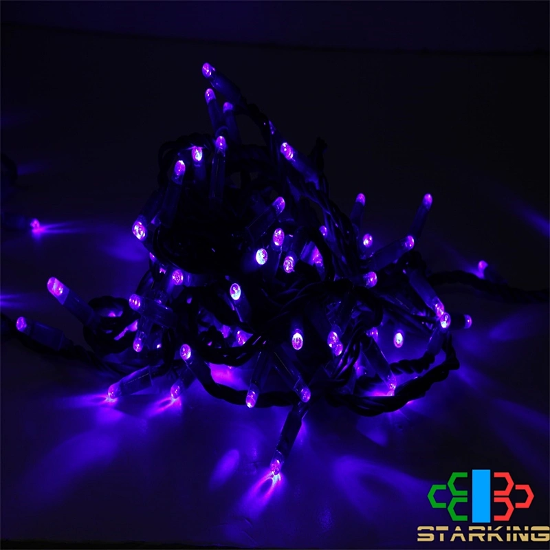 2021 Hot Sale IP20 IP44 IP65 Outdoor Decorations 12M180 LEDS Rubber Wire String Light