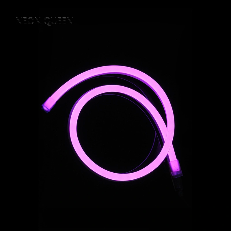 Top Quality LED lighting flexible led neon 220v