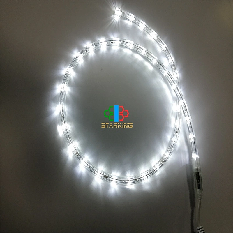 Hot Sell multi-color RGB  Outdoor cuttable tube  Flexible hose Rope Light fairy Transparent Tube Festival Decoration lights