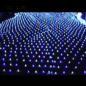 Led Net Light