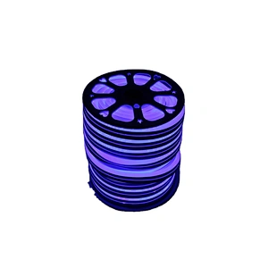 2020 new  outdoor UV proof  holiday rope light
