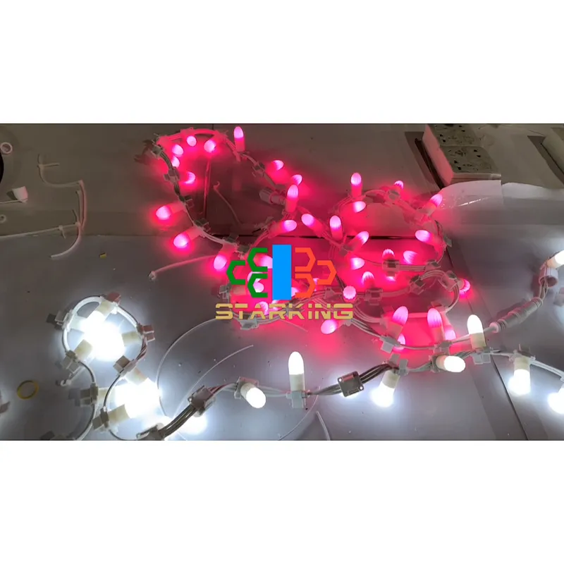 Hot selling   New outdoor high quality LED string light for holiday party ornament