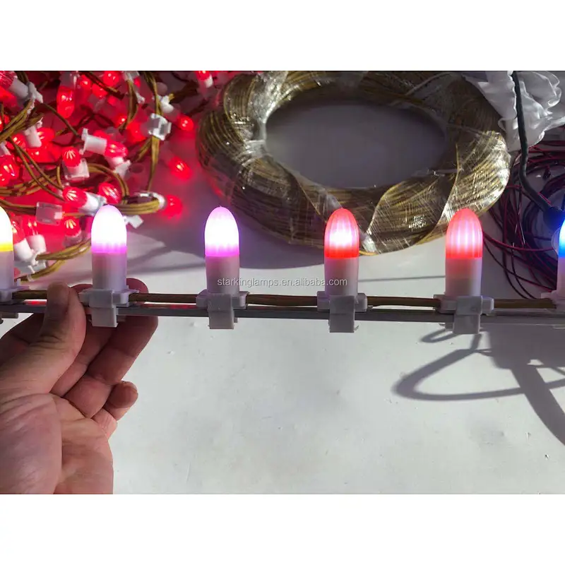Hot selling Big head  New outdoor high quality LED string light for holiday party ornament