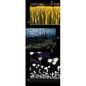 Outdoor Simulation Ear of wheat Park Landscape Courtyard Decoration Led  Light