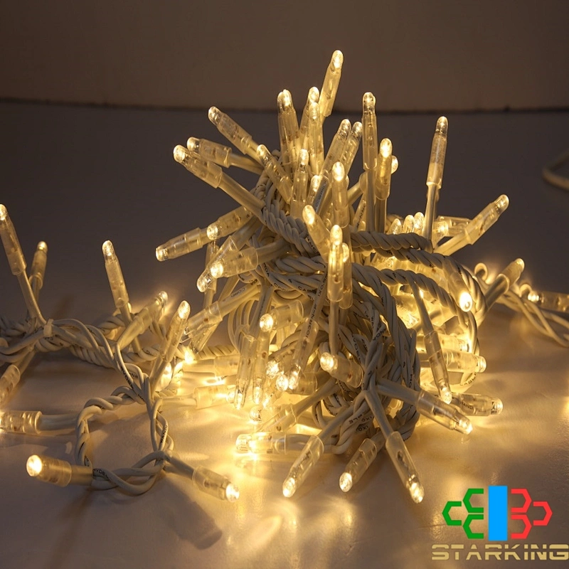 10M 100 LED  outdoor waterproof wholesale dazzle color atmosphere foil cold-resistant  led IP65 rubber string light
