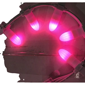 Hot selling Big head  New outdoor high quality LED string light for holiday party ornament