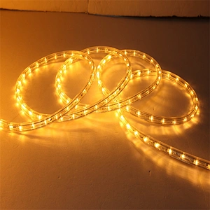 Hot Sell multi-color RGB  Outdoor cuttable tube  Flexible hose Rope Light fairy Transparent Tube Festival Decoration lights
