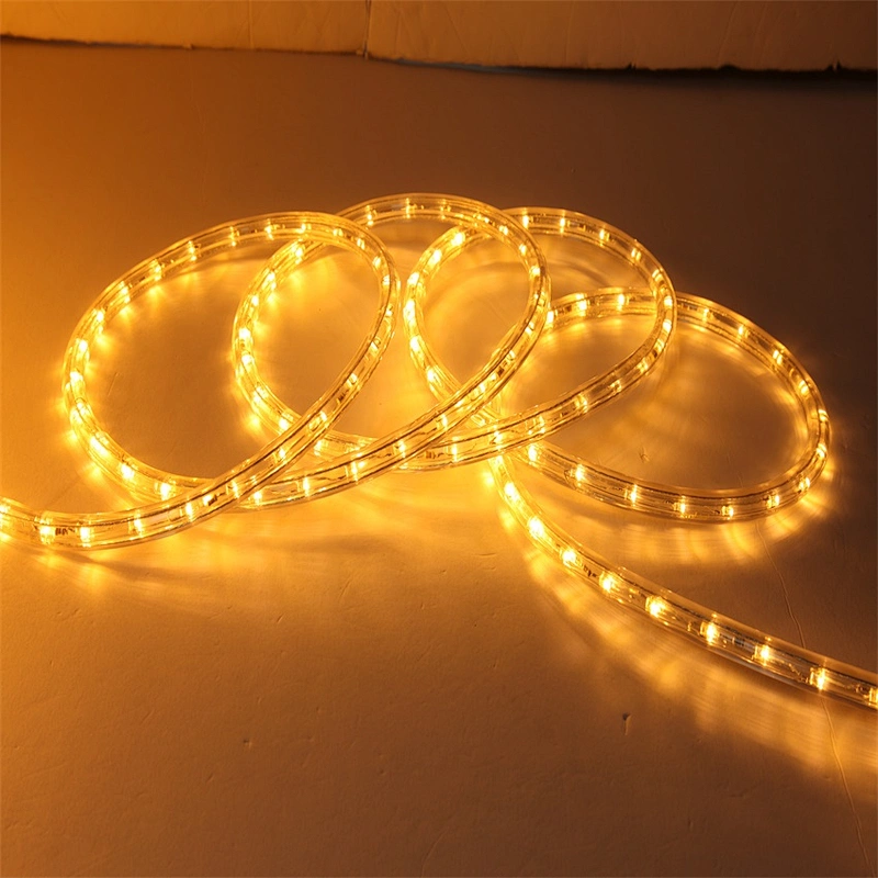 Hot Sell multi-color RGB  Outdoor cuttable tube  Flexible hose Rope Light fairy Transparent Tube Festival Decoration lights