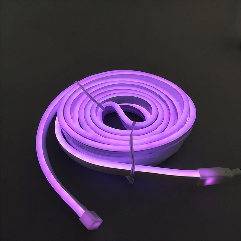 110 V/ 220 V  High Quality Led Strip Light 5 M Waterproof Led Light Strip