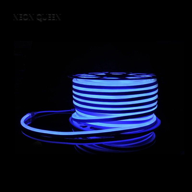 RGB Emitting Color and Flex LED Strips Type waterproof dc12v led strip