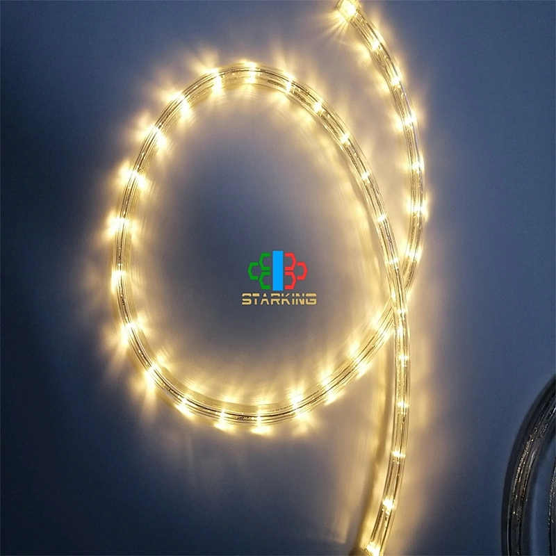 Hot Sell multi-color RGB  Outdoor cuttable tube  Flexible hose Rope Light fairy Transparent Tube Festival Decoration lights