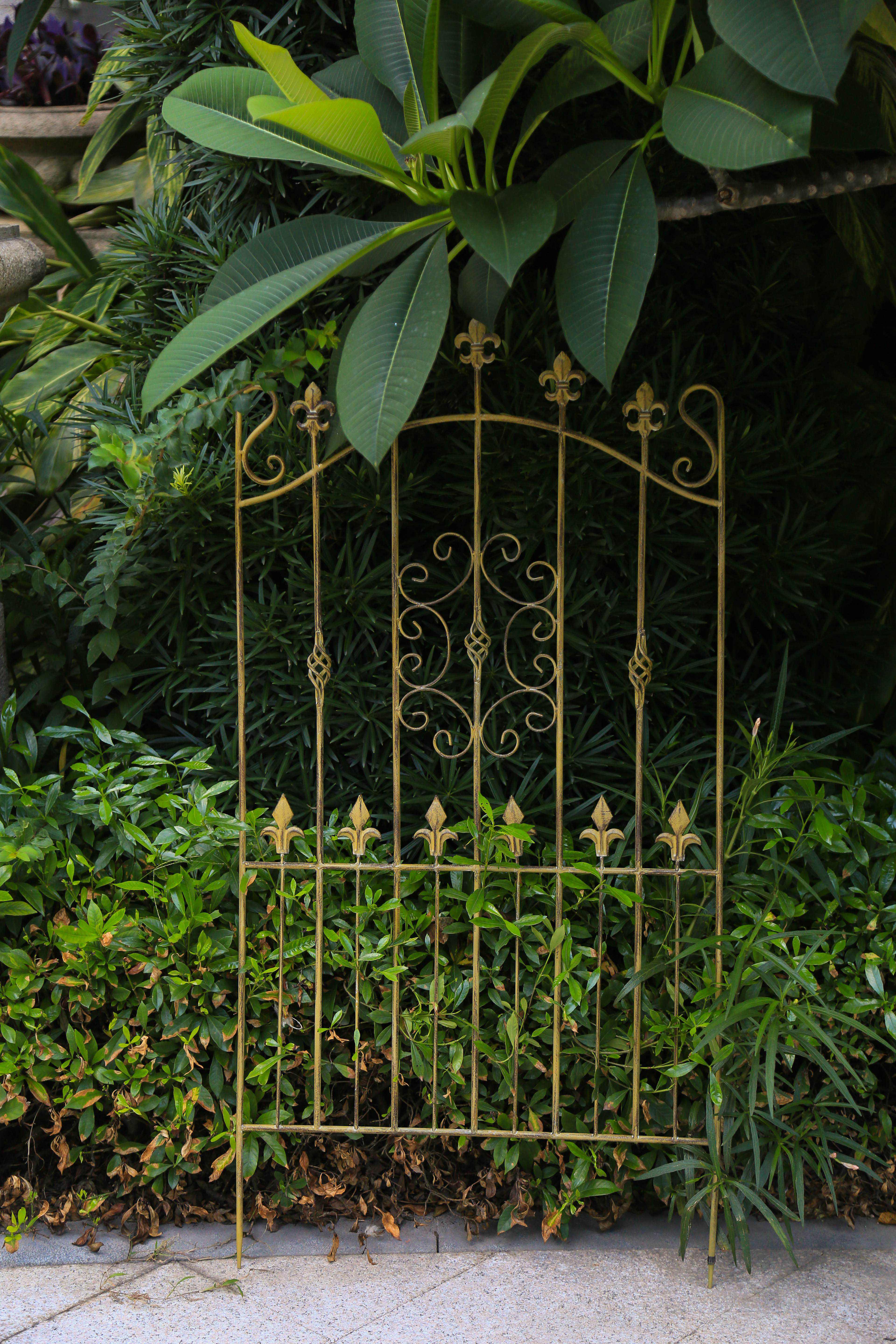 wrought iron trellis metal against plants