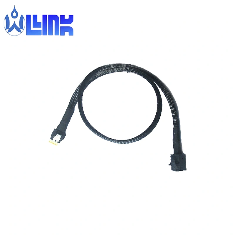 Slimline SAS SFF-8654 to SFF-8643 Mini SAS HD