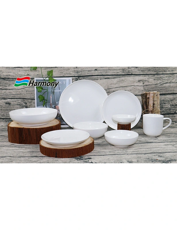 New Bone China Dinner Set