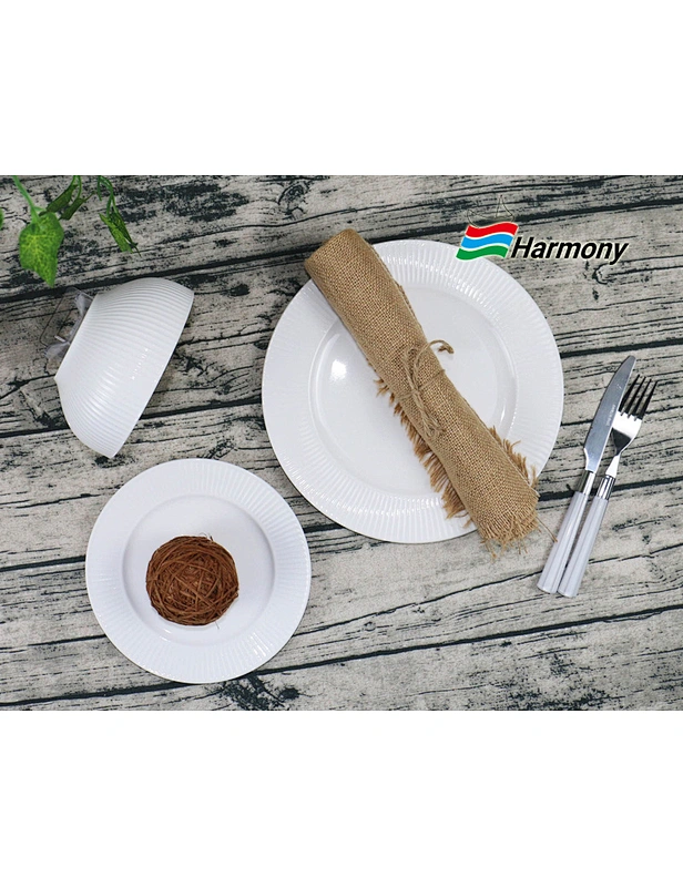 New Bone China Dinner Set