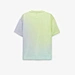 shorts and t shirts mens