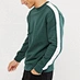 blank sweatshirt