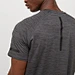 mens gym t-shirt supplier