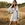 women maxi dresses