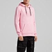 blank hoodies