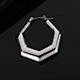 hexagonal steel earrings                 United States