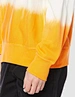 plain crew neck sweatshirt