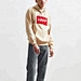 mens pullover hoodie
