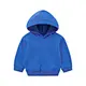 hoodie blank