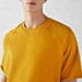pant