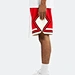 mesh shorts basketball