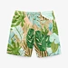 swimming trunks shorts