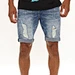 shorts ripped