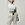 custom tracksuit