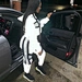 tracksuit for women