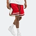 mesh shorts basketball