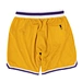 basketball mesh shorts