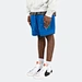 polyester mesh shorts