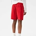 nylon shorts mens