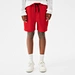 mens nylon silk shorts