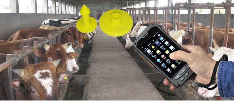 RFID Animal tracking EM4305 Chip Pigeon Tag and Pigeon Tracking Label