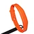 RFID Wristbands
