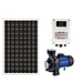 solar surface