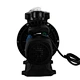 Swimming pool filter pump