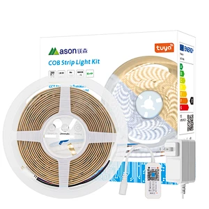 Dual CCT COB Strip Light Kit