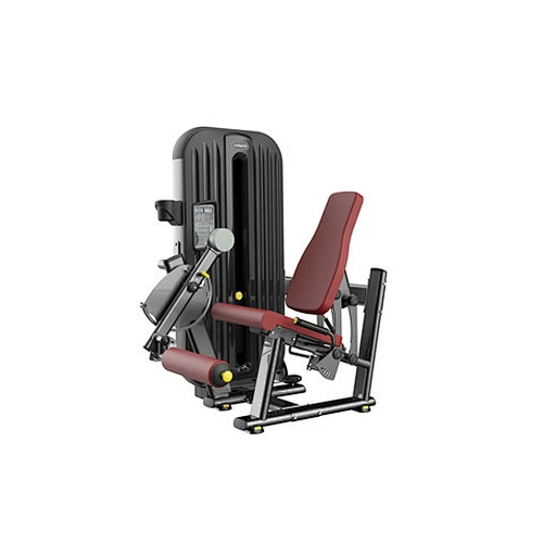 leg extension
