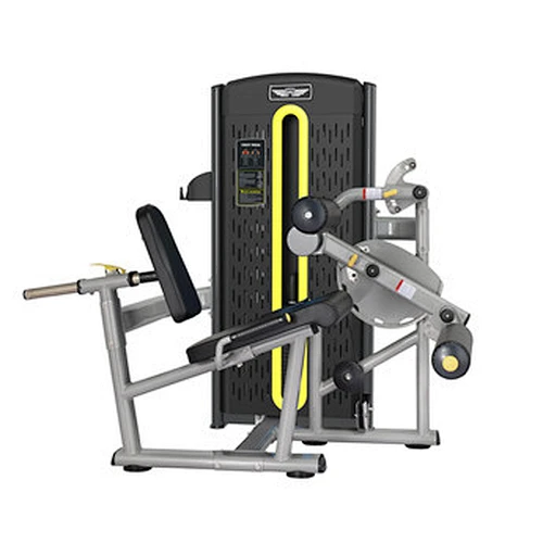 seated leg curl