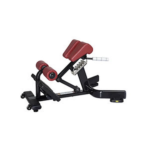 fitness weight bench