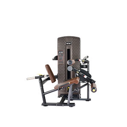 seated leg curl