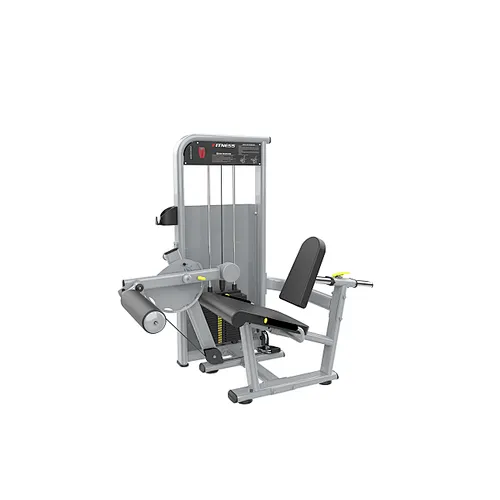 Leg Extension