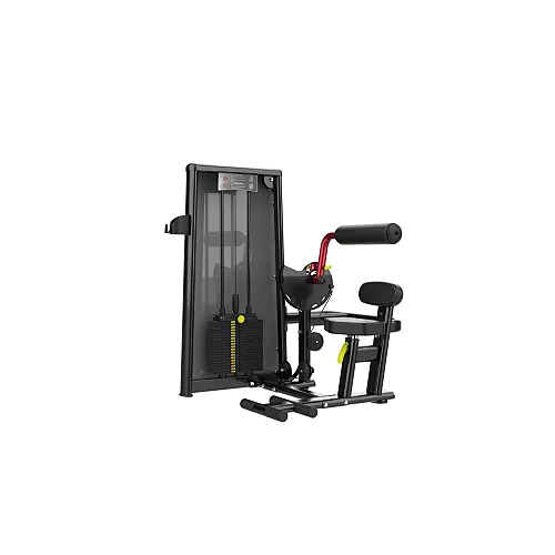 Abdominal Crunch
